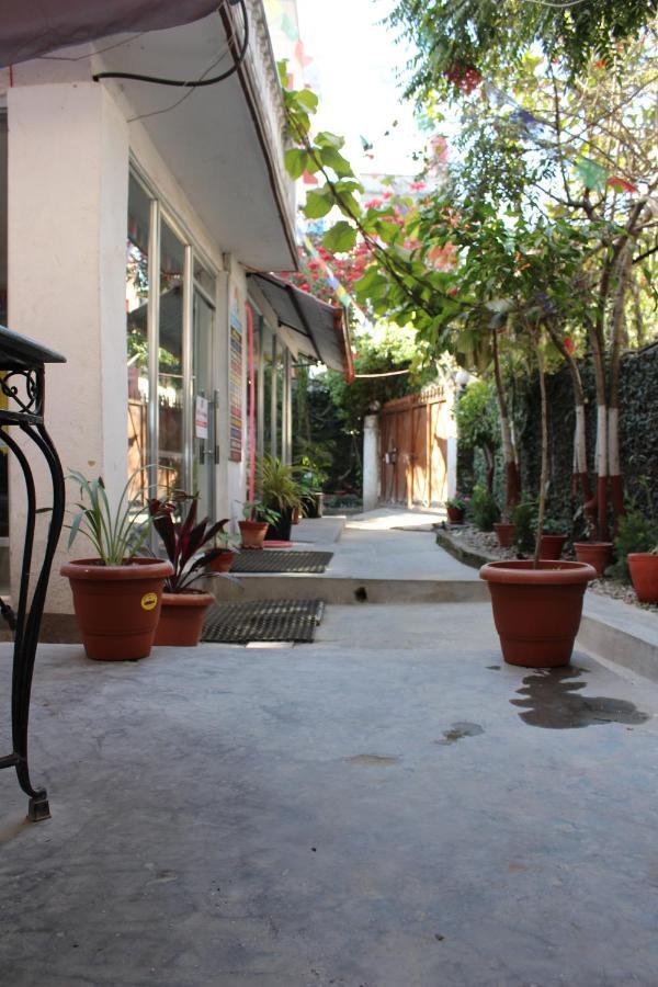 Hostel Himalaya Kathmandu Esterno foto